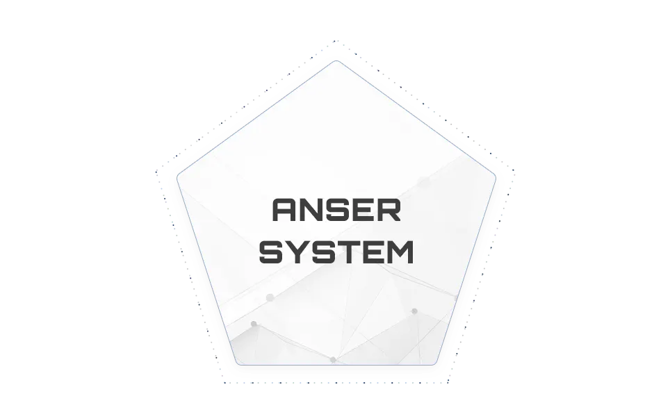 AnserSystem